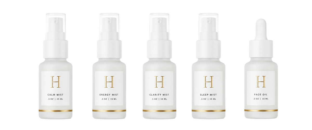 TRAVELER TRAVEL SUPPORT KIT
