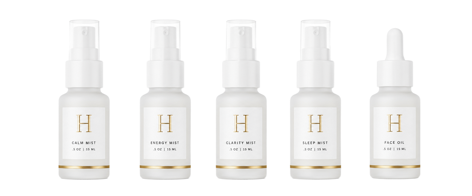 TRAVELER TRAVEL SUPPORT KIT
